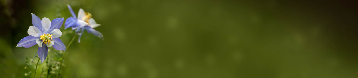 Rockford Homeschoolers' Hub